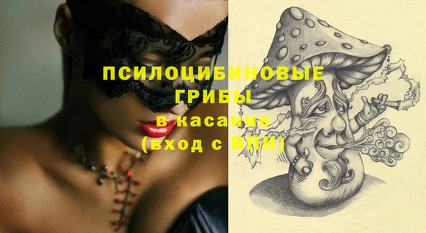 крисы Алексеевка