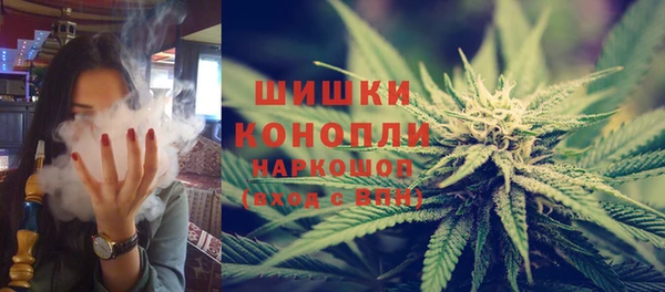 дурь Алзамай