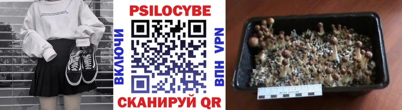 Галлюциногенные грибы Cubensis  даркнет сайт  hydra ссылки  Пикалёво 